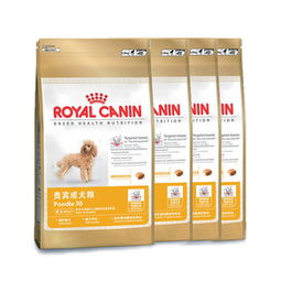 凌采寵物食品南京銷售點(diǎn) 哈里小寵，為愛寵提供優(yōu)質(zhì)食品