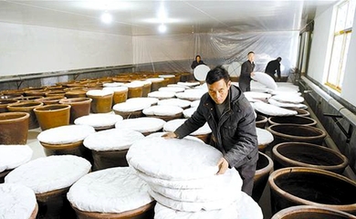 釀造食醋奔富路，食品銷售創輝煌——傳統技藝與現代市場的完美融合